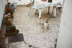 Développement Argentique - Me Gouy - christophehetuin.com photographe & vidéaste mariage famille entreprise