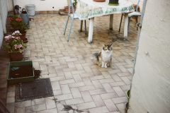 Développement Argentique - Me Gouy - christophehetuin.com photographe & vidéaste mariage famille entreprise