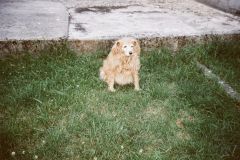 Développement Argentique - Me Gouy - christophehetuin.com photographe & vidéaste mariage famille entreprise