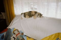 Développement Argentique - Me Gouy - christophehetuin.com photographe & vidéaste mariage famille entreprise