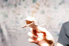 PhotoBooth Anniversaire - Lise & Cyrille - christophehetuin.com photographe & vidéaste mariage famille entreprise