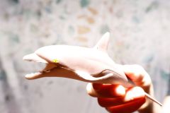 PhotoBooth Anniversaire - Lise & Cyrille - christophehetuin.com photographe & vidéaste mariage famille entreprise