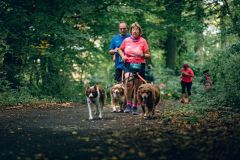 Reportage photo événement professionnel - Trail de la châtaigne 2024 - christophehetuin.com photographe & vidéaste mariage famille entreprise Reportage photo événement professionnel - Trail de la châtaigne 2024 - christophehetuin.com photographe & vidéaste mariage famille entreprise