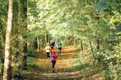 Reportage photo événement professionnel - Trail de la Châtaigne 2025 - christophehetuin.com photographe & vidéaste mariage famille entreprise