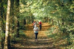 Reportage photo événement professionnel - Trail de la Châtaigne 2025 - christophehetuin.com photographe & vidéaste mariage famille entreprise