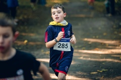 Reportage photo événement professionnel - Trail de la Châtaigne 2026 - christophehetuin.com photographe & vidéaste mariage famille entreprise Reportage photo événement professionnel - Trail de la Châtaigne 2026 - christophehetuin.com photographe & vidéaste mariage famille entreprise